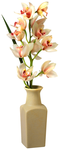 Flower Vase Orchid Vase PNG Clip Art Image Gallery High Quality Images And Transparent  HD Free Download