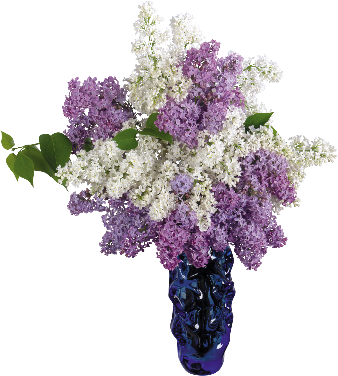 Flower Vase Vase PNG Image Purepng Transparent PNG Image Library  HD Free Download