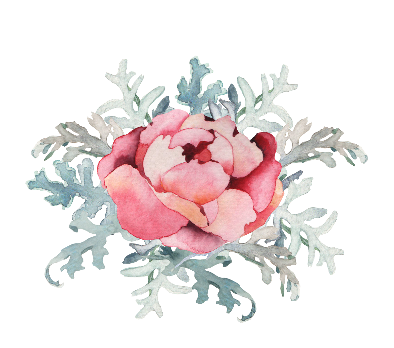 Flower Watercolor Deep Cove Flowers February  HD Free Download