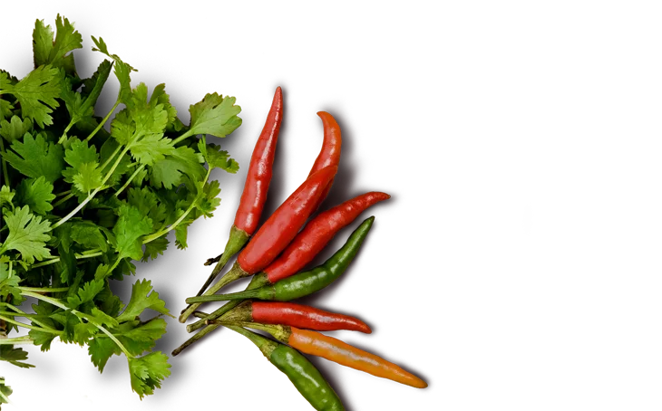 Food Harrison Catering Contract Caterers Serving Top Quality  HD Free Download