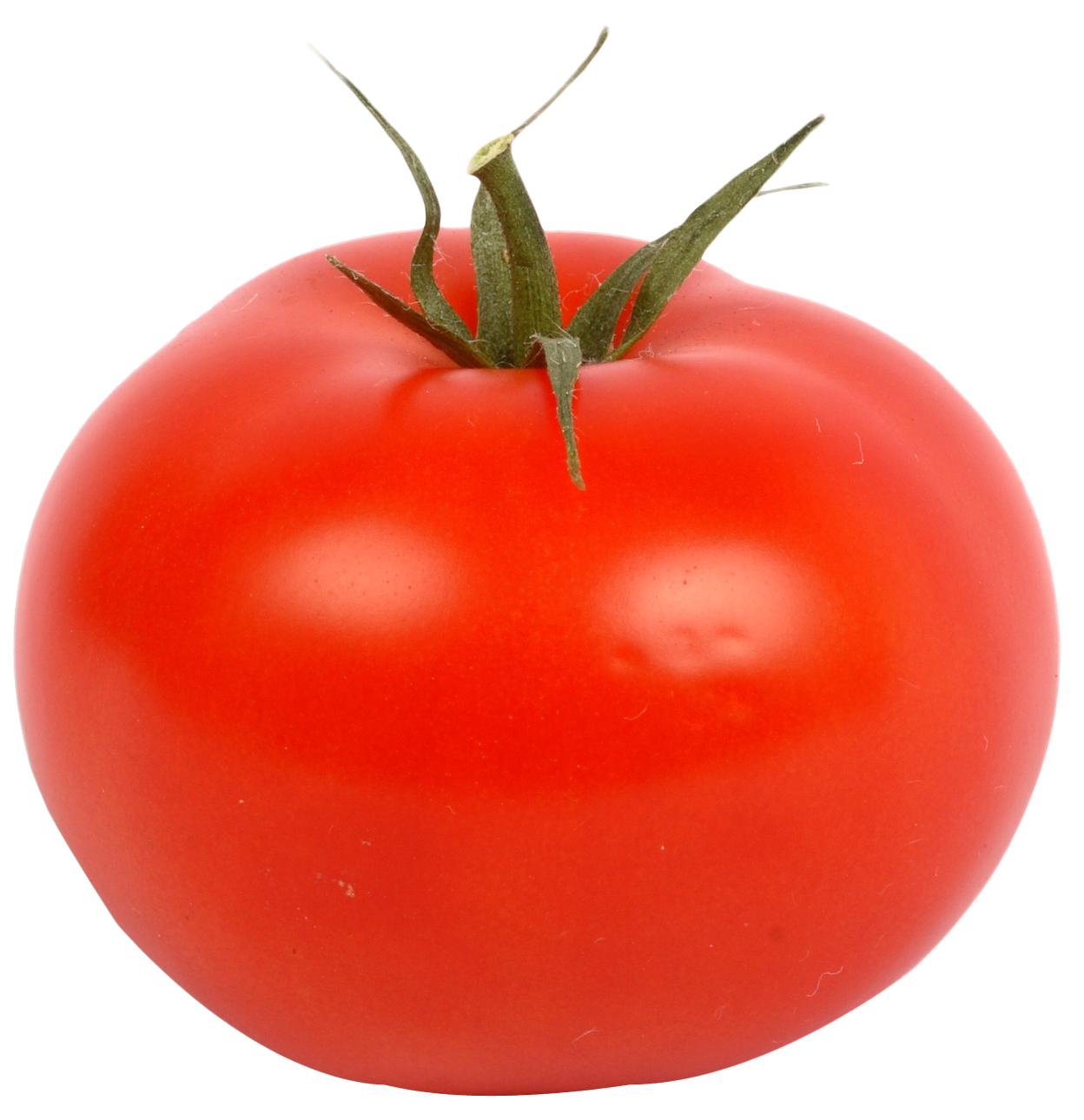 Fresh Red Tomato PNG Image PNG Transparent Best Photos  HD Free Download