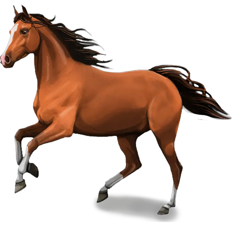 Running Race Horse Transparent PNG  HD Free Download