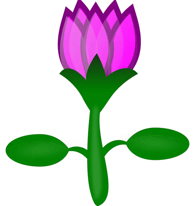 Gambar Bunga Tulip Gambar Animasi Alam Bunga Indoo Tulips Sun Wapday Gif Size  HD Free Download
