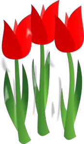 Gambar Bunga Tulip Red Tulips Clip Art Clkerm Vector Clip Art Online  HD Free Download