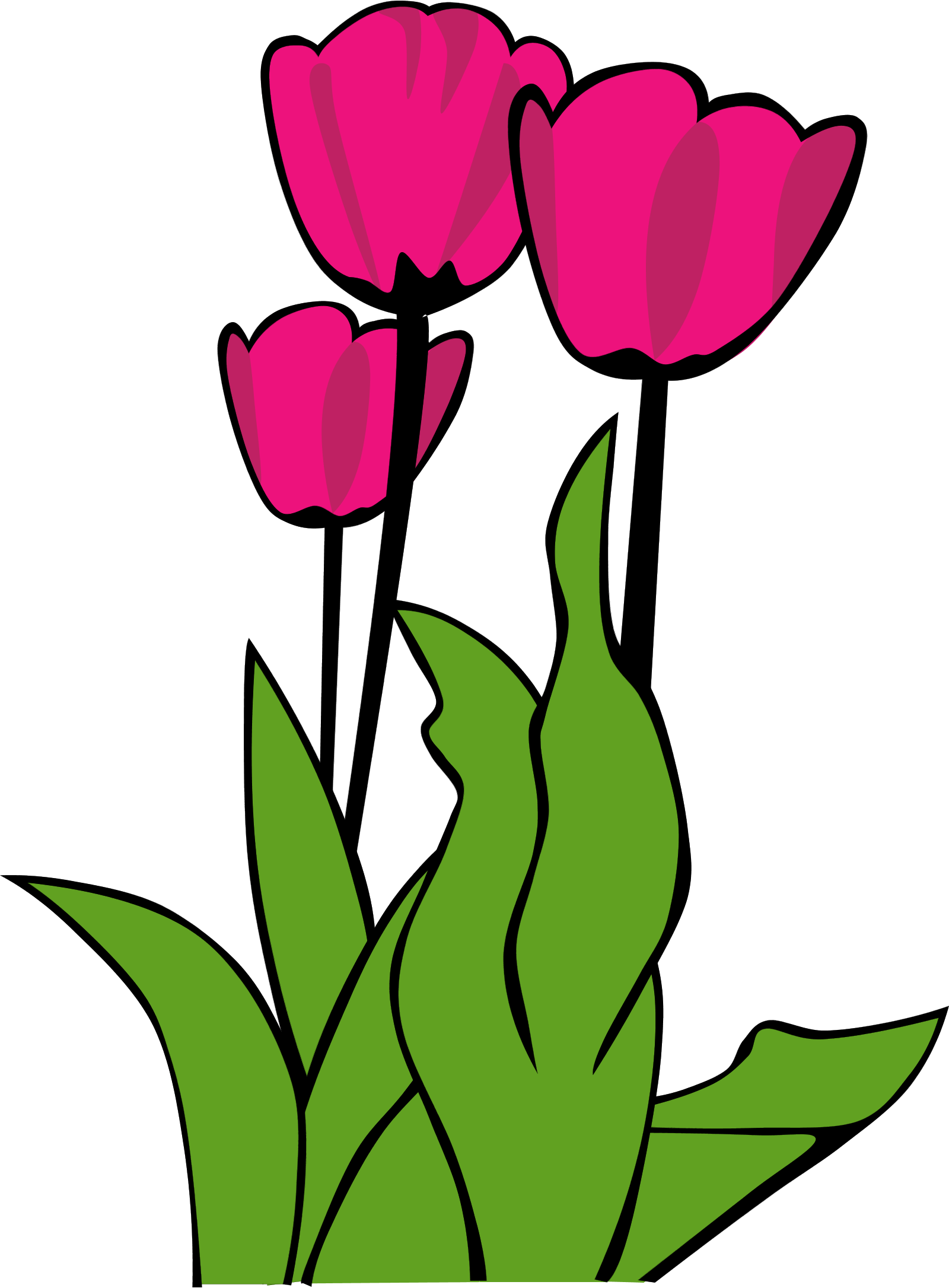 Gambar Bunga Tulip Tulip Clip Art Clipart Panda Clipart Images  HD Free Download
