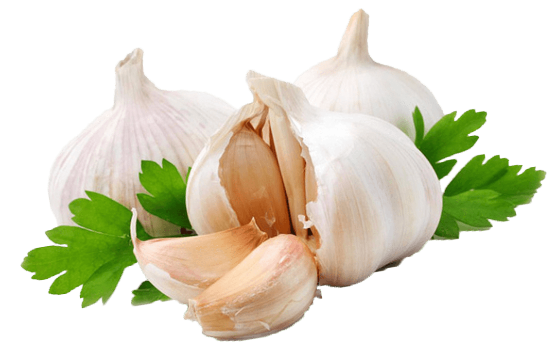 Garlic Coriander Transparent PNG Stickpng  HD Free Download