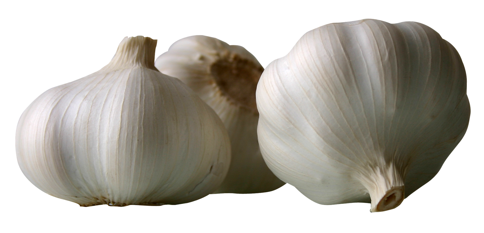 Garlic Garlics PNG Image HD Free Download