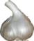 Garlic Tux Paint Stamp Browser Food HD Free Download