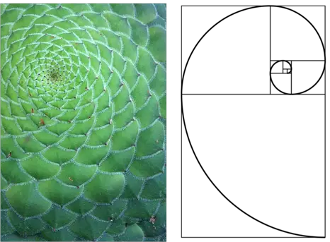 Golden Ratio Qanon The Phoenix Lights Synchronicities Others HD Free Download