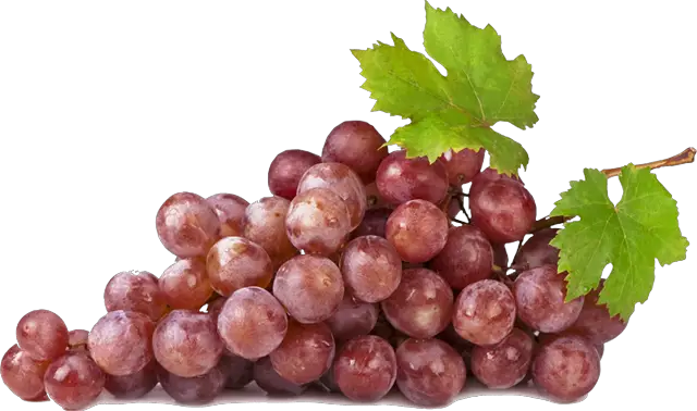 Grapes Winery Products Bartlett Manufacturing Blinds  HD Free Download