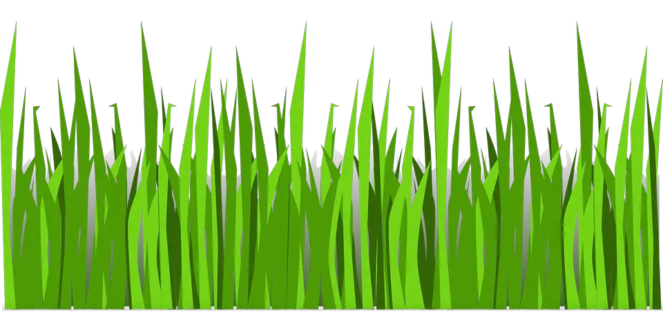 Grass Lawn Nature Vector Graphic  HD Free Download