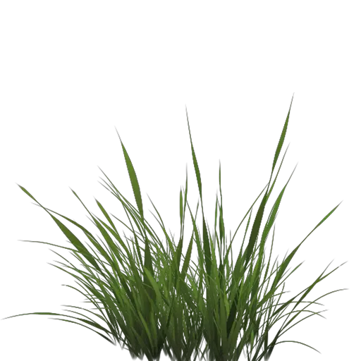 Grass PNG Blending Learn Opengl  HD Free Download
