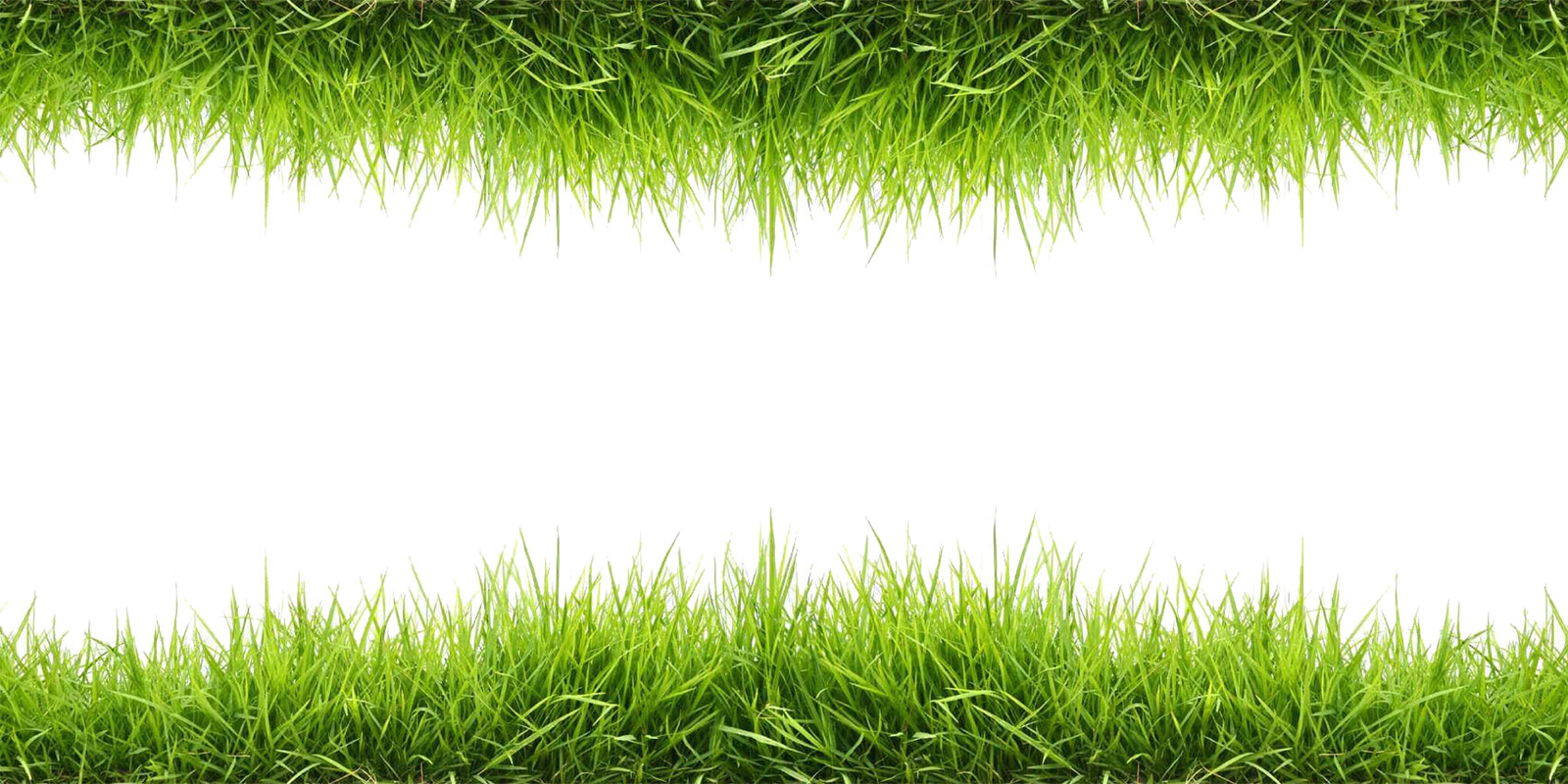 Grass PNG Image Purepng Transparent PNG Image  HD Free Download