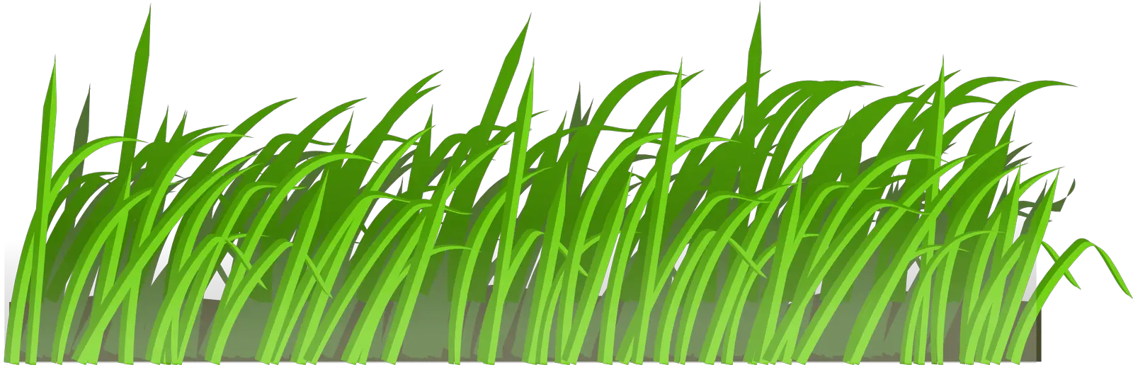 Grass PNG Images Pictures  HD Free Download