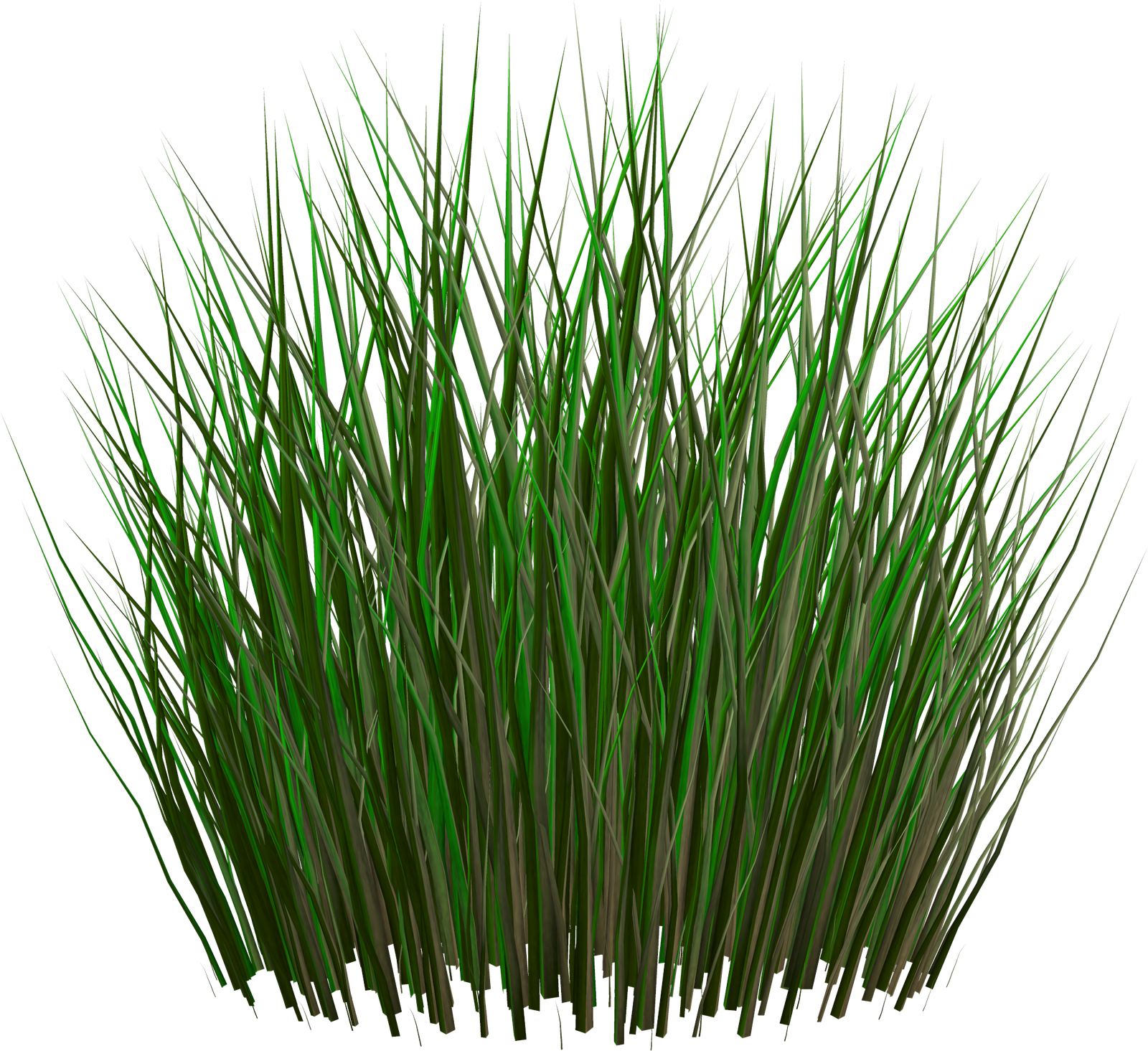 Grass PNG Images Pictures  HD Free Download