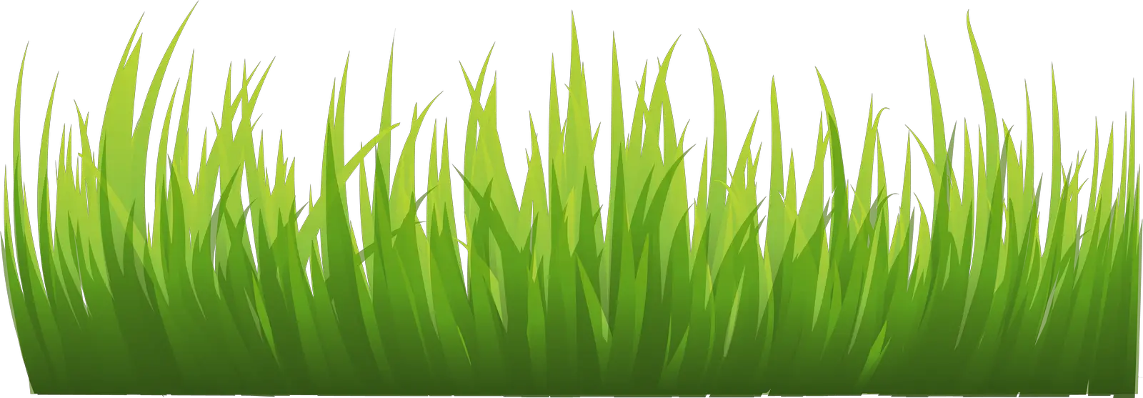 Grass PNG Images Pictures  HD Free Download