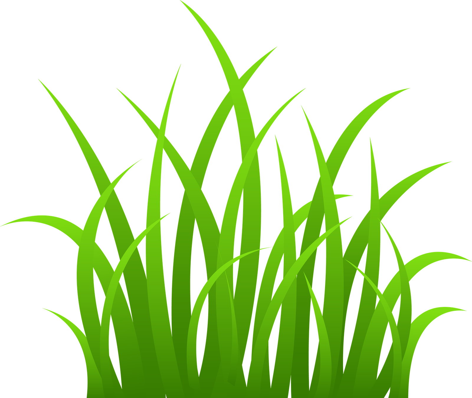 Grass PNG Images Pictures  HD Free Download