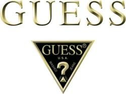 Logo Guess With Triangle PNG Transparent  HD Free Download