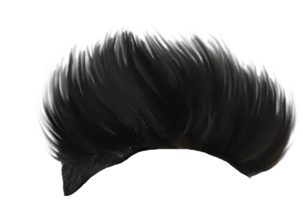 Hedgehog Style Men Hair Transparent  HD Free Download