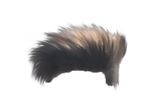 Hair PNG Top Hair PNG Nsb Pictures  HD Free Download