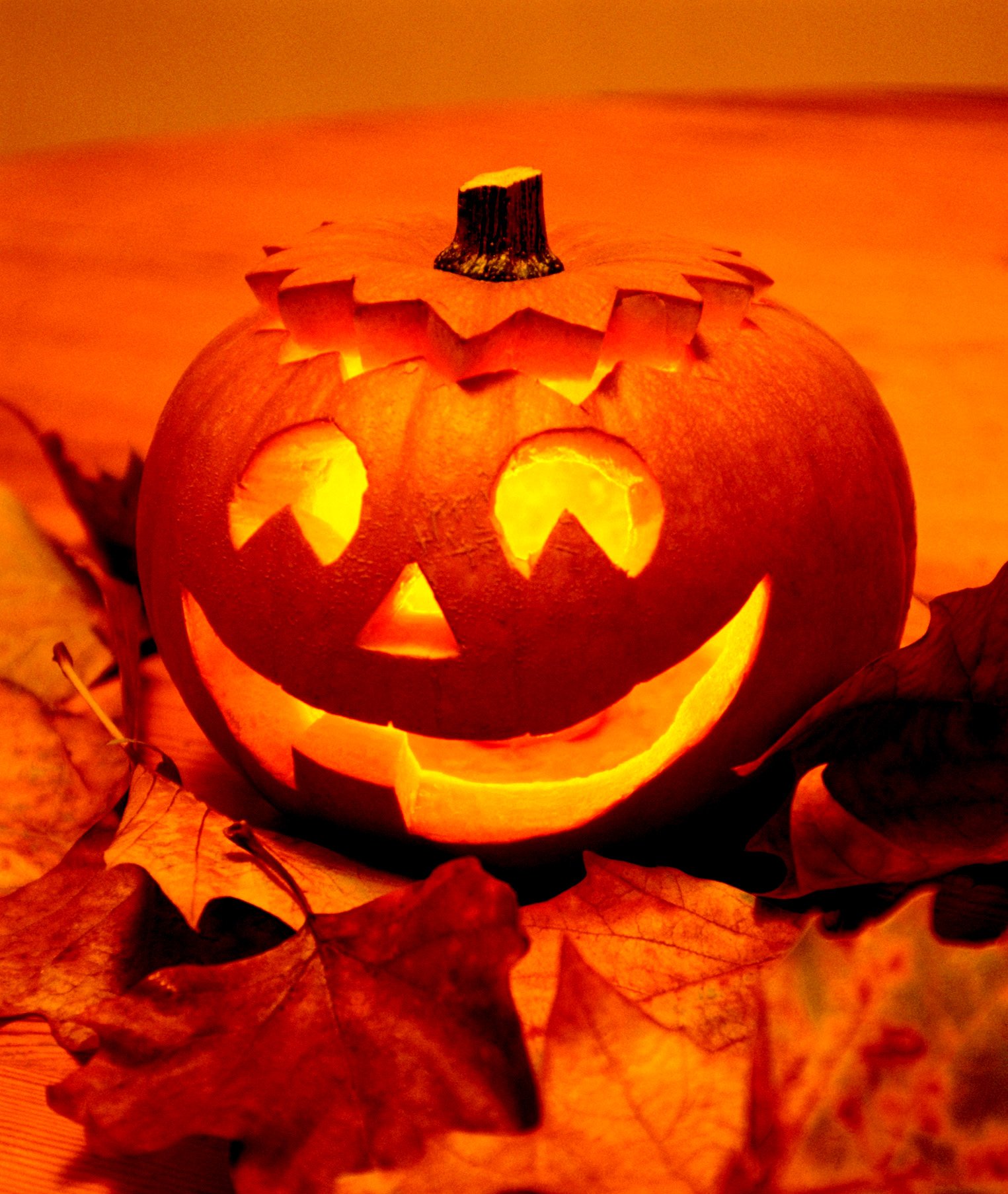 Halloween Background Funny Halloween Images Picshunger HD Free Download