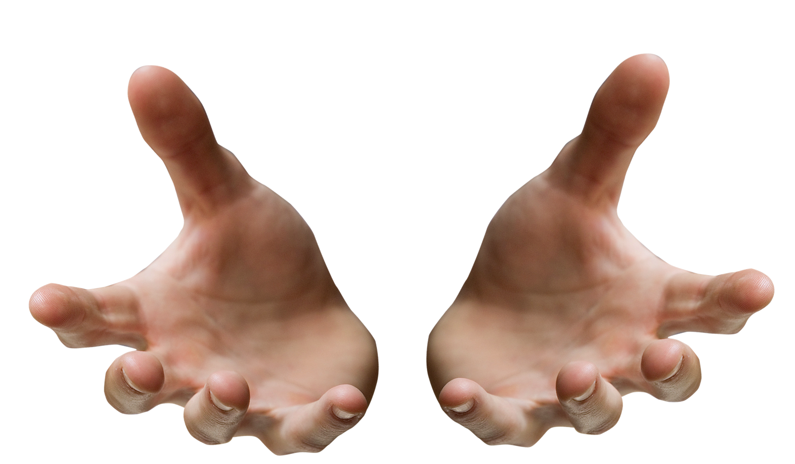 Hand PNG Hands PNG PNG Image   HD Free Download