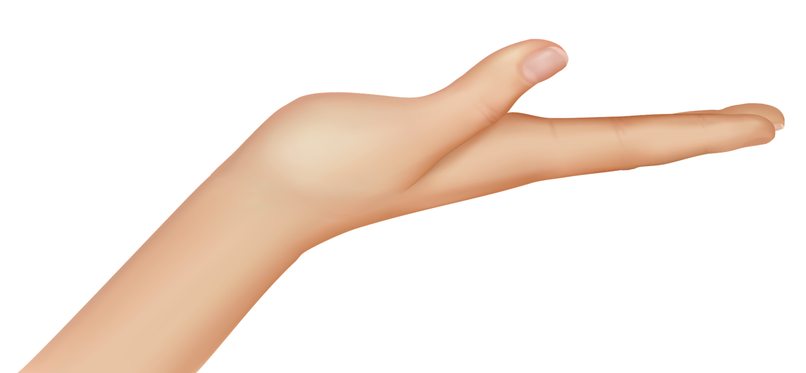 Hand PNG Hands Transparent PNG Pictures Icons And PNG  HD Free Download