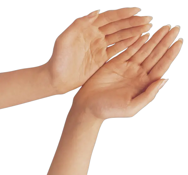 Hand PNG Two Hands PNG Clipart Image Gallery High HD Free Download