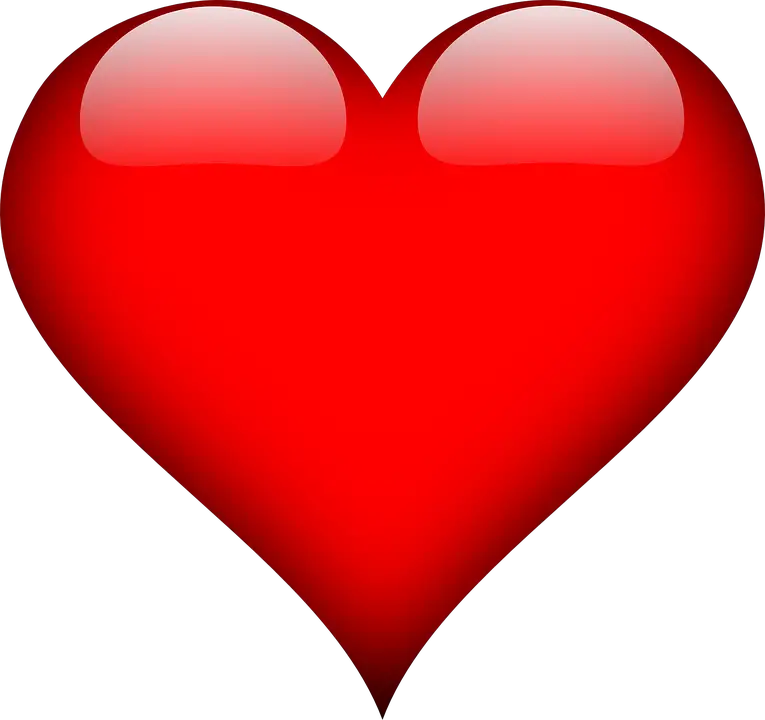 Heart Love Vector Graphic  HD Free Download