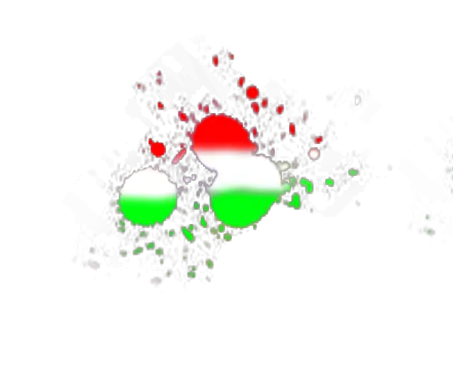Holi PNG Transparent Images  HD Free Download