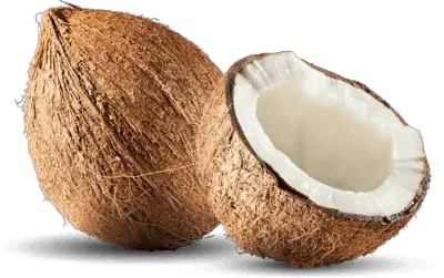 Home Tropicai Fruits  HD Free Download