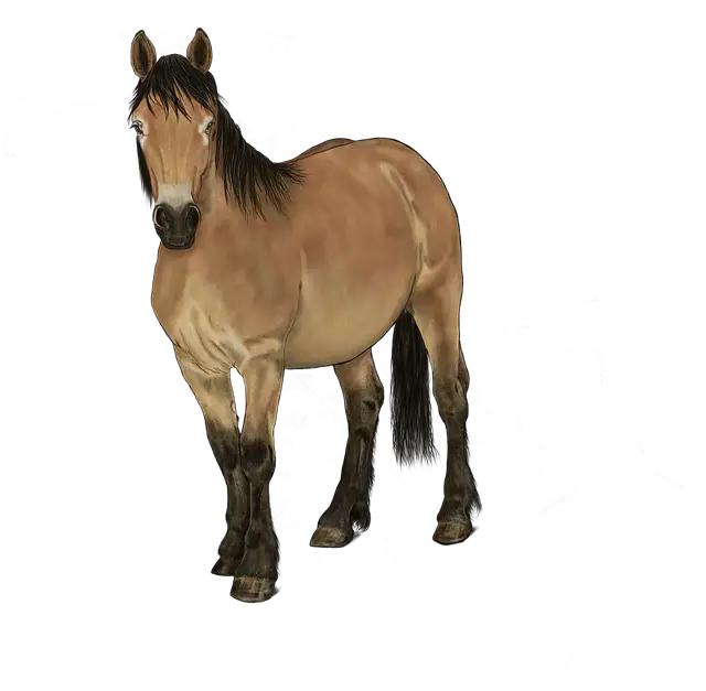 Horse Fawn Art Digital Image   HD Free Download