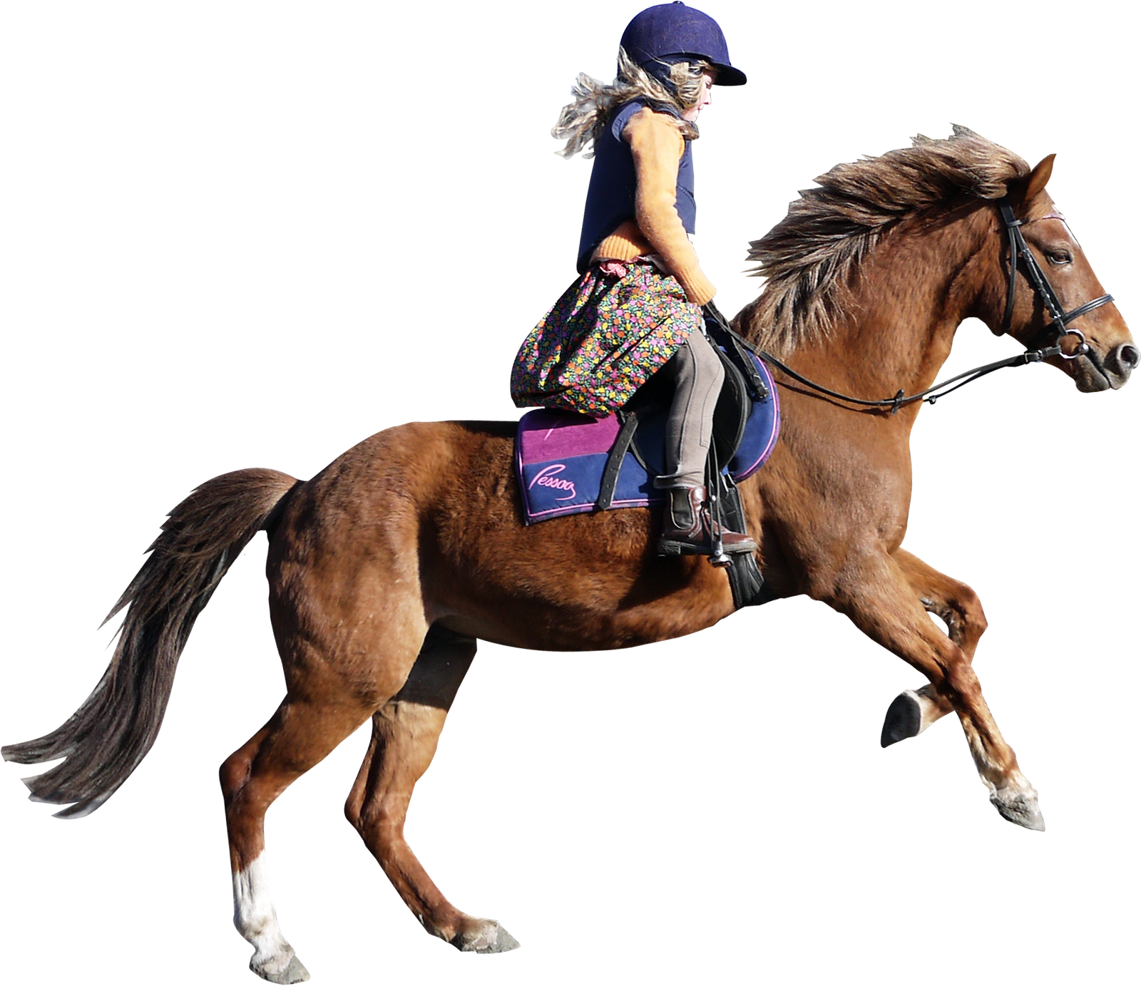 Horse Skalgubbar  HD Free Download