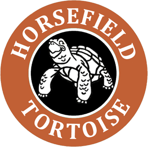 Horsefield Tortoise Rodan And Fields PNG Logo  HD Free Download