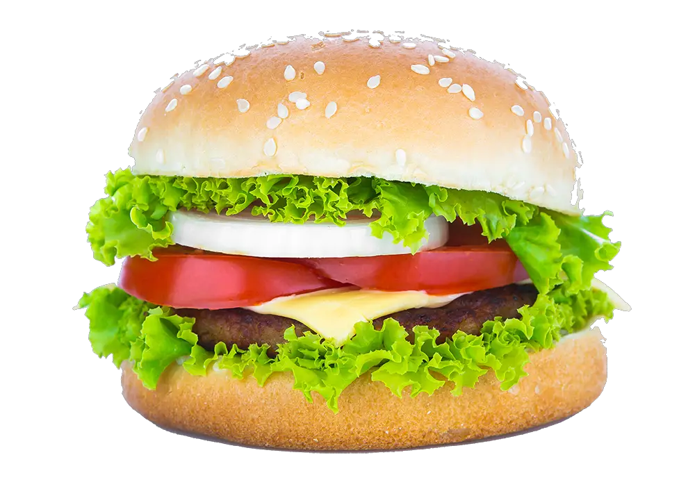 How Make Burger Html Beginner Tutorial  HD Free Download