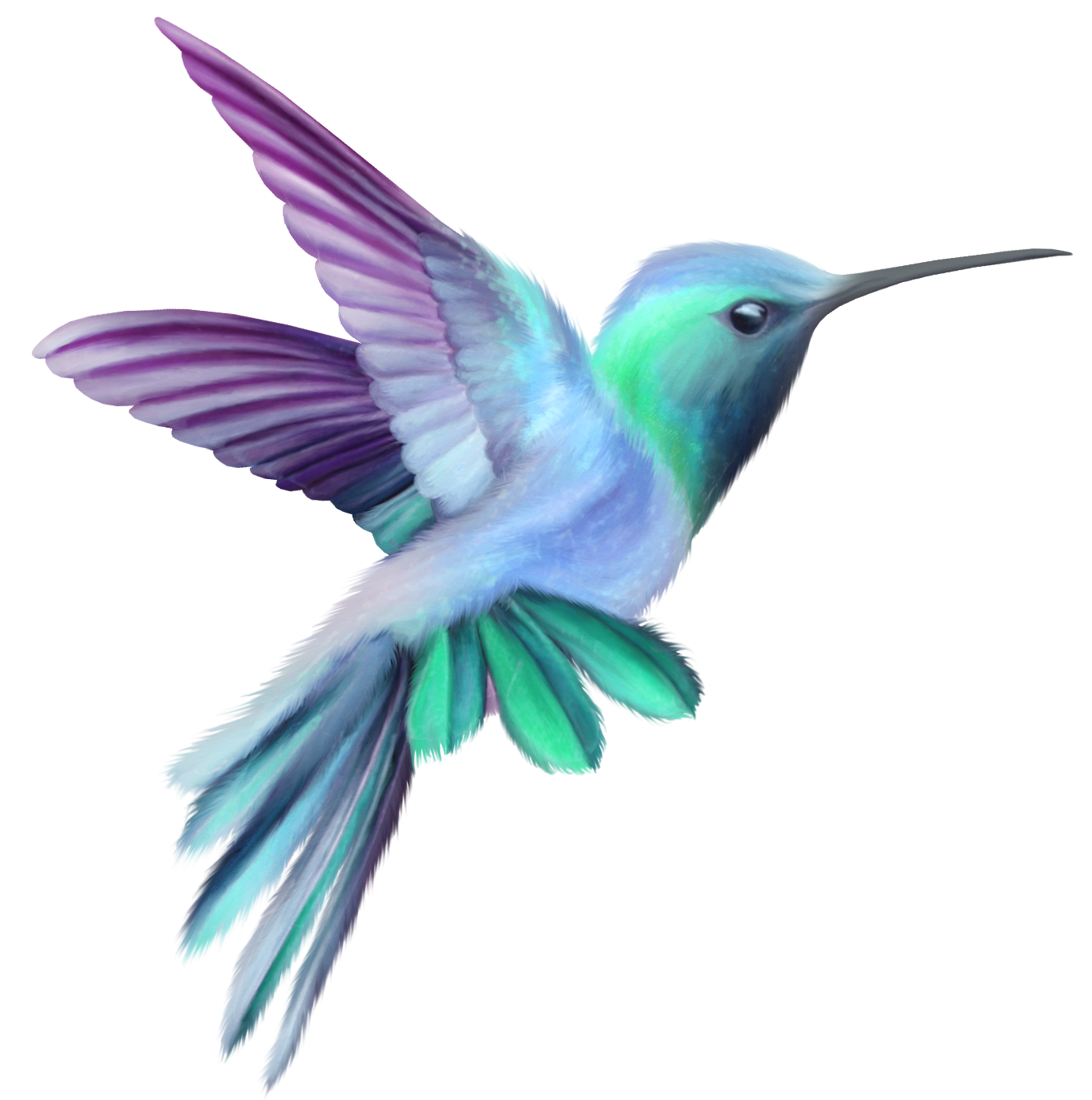 Hummingbird Meer Dan Afbeeldingen Over Cute Birdies Pinterest  HD Free Download