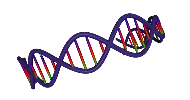 Illustration Dna Medical Science Genetic  HD Free Download