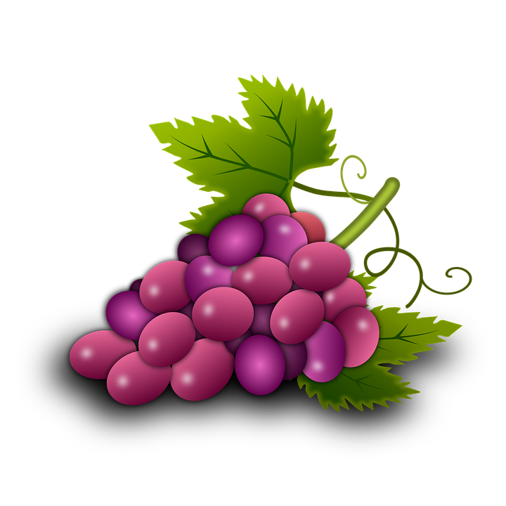 Illustration Grapes Vine Vineyard Wine  HD Free Download