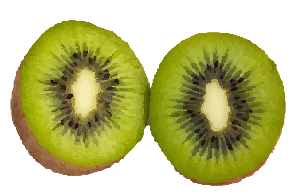Illustration Kiwi Fruit Food Fresh Diet  HD Free Download