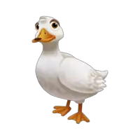 Image American Pekin Duck Farmville Wiki  HD Free Download