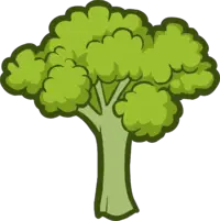 Image Broccoli Club Penguin Wiki The Editable Encyclopedia About Club Penguin  HD Free Download