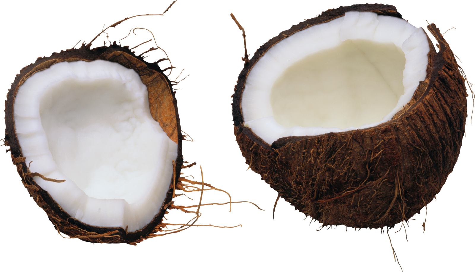 Image Coconut Oil Computer Icons  HD Free Download