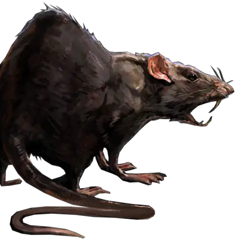 Image Rat Concept Dishonored Wiki Fandom Powered  HD Free Download