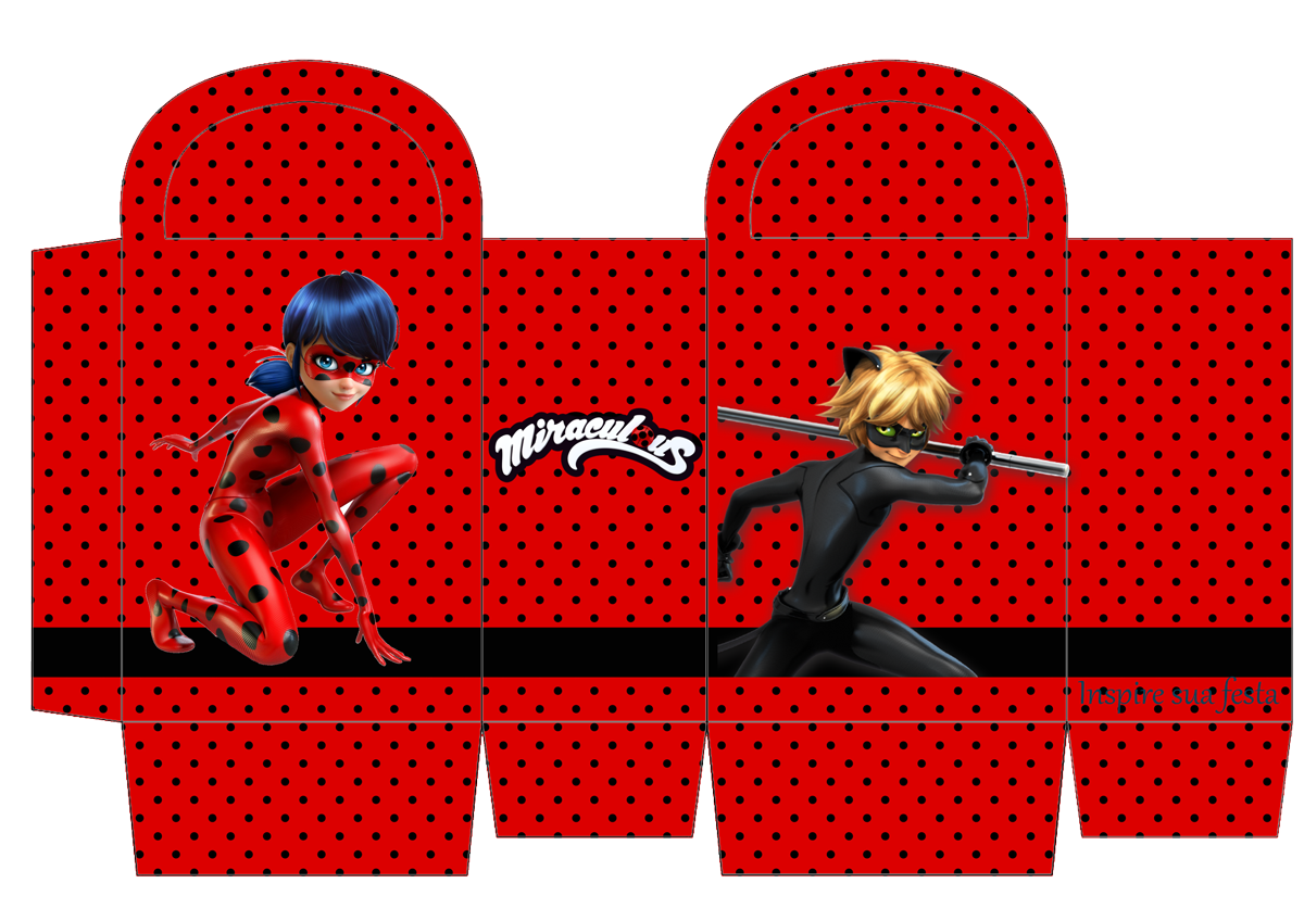 Images About Miraculous Ladybug Cat Noir Printables Pinterest  HD Free Download