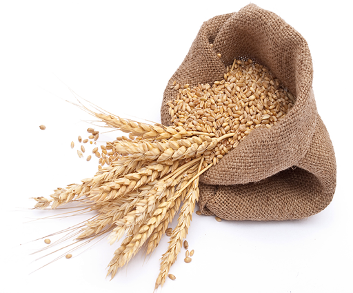 India Wheat Rises Futures Trade Agrodaily  HD Free Download