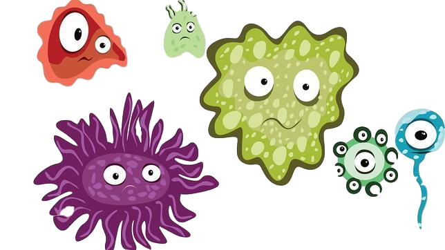 Invierno Los Virus Relaci Con Alergias  HD Free Download