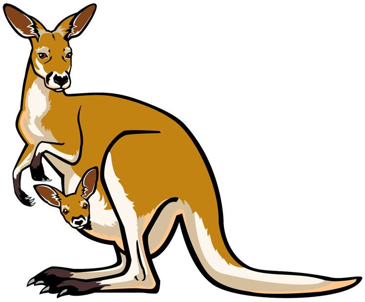Kangaroo With Baby PNG Transparent Clipart Image  HD Free Download