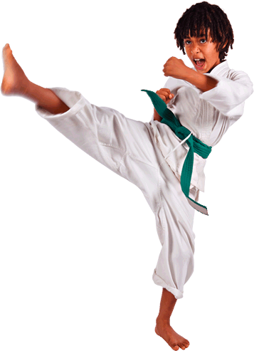Karate Boyz Organizables  HD Free Download