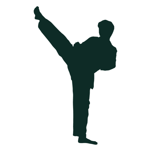 Karate Front Kick Stretch Transparent PNG Svg Vector  HD Free Download