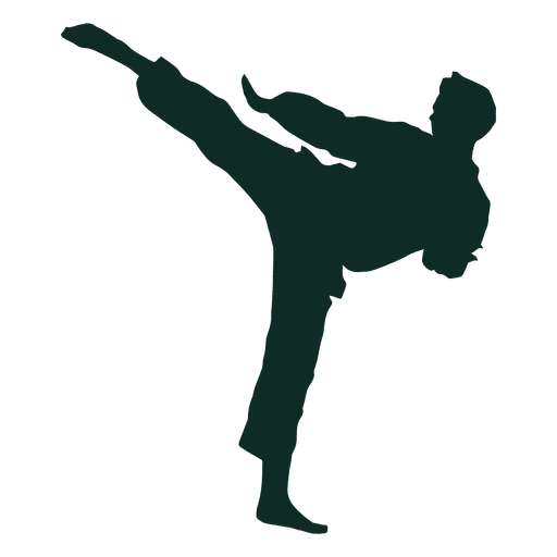 Karate High Kick Training Transparent PNG Svg Vector  HD Free Download